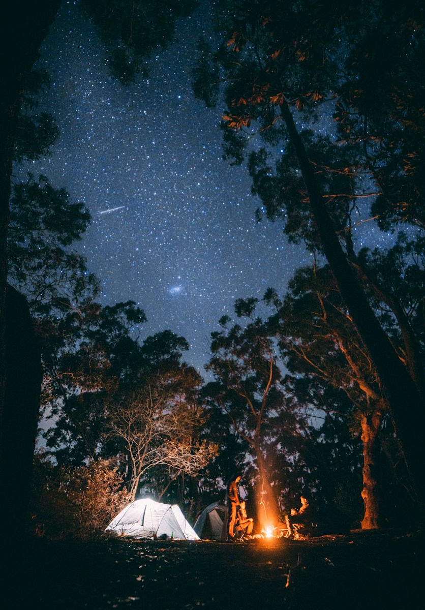 Κυνήγι - θάλασσα & camping
